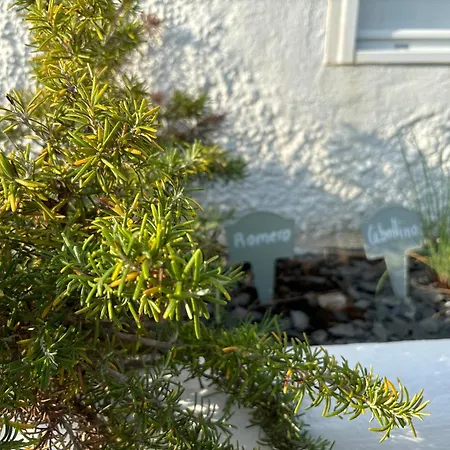 Casa De Playa Holiday home Denia
